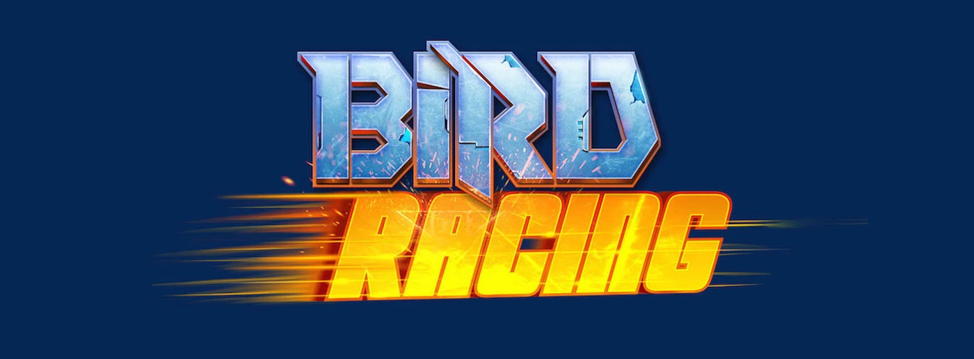 Bird Racing